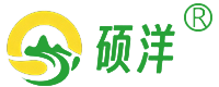 硕洋电商平台