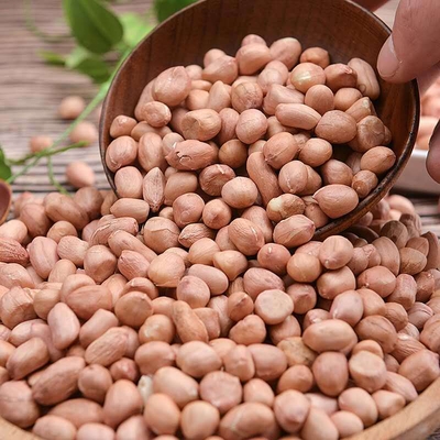 当季新货白沙花生米大量现货农家自产五谷杂粮白沙花生米